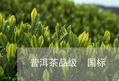 普洱茶品级 国标/2023031663850